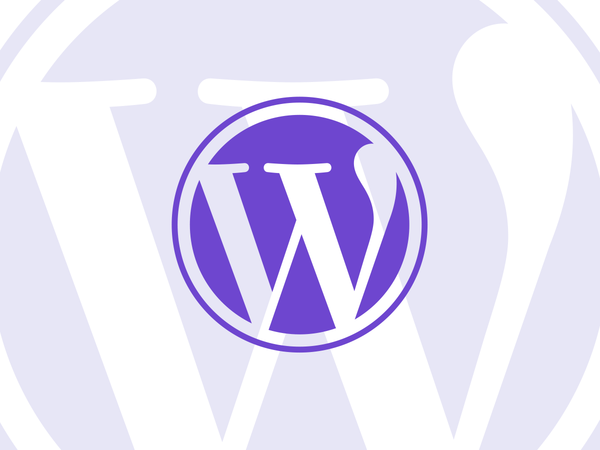 WordPress Programmeur